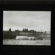 Böhl glass slide 61.2/1685